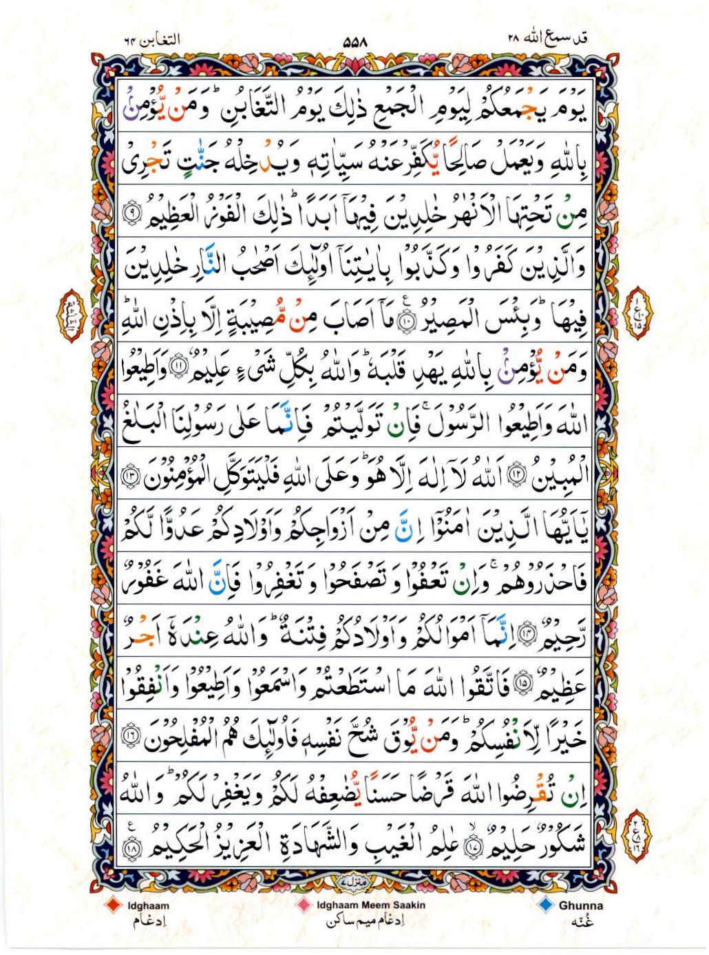 Read 15 Lines Color Coded Quran, Part / Chapter / Siparah 28 Page 558