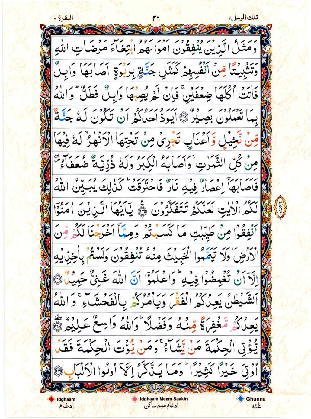 Read 15 Lines Color Coded Quran, Part / Chapter / Siparah 3 Page 46