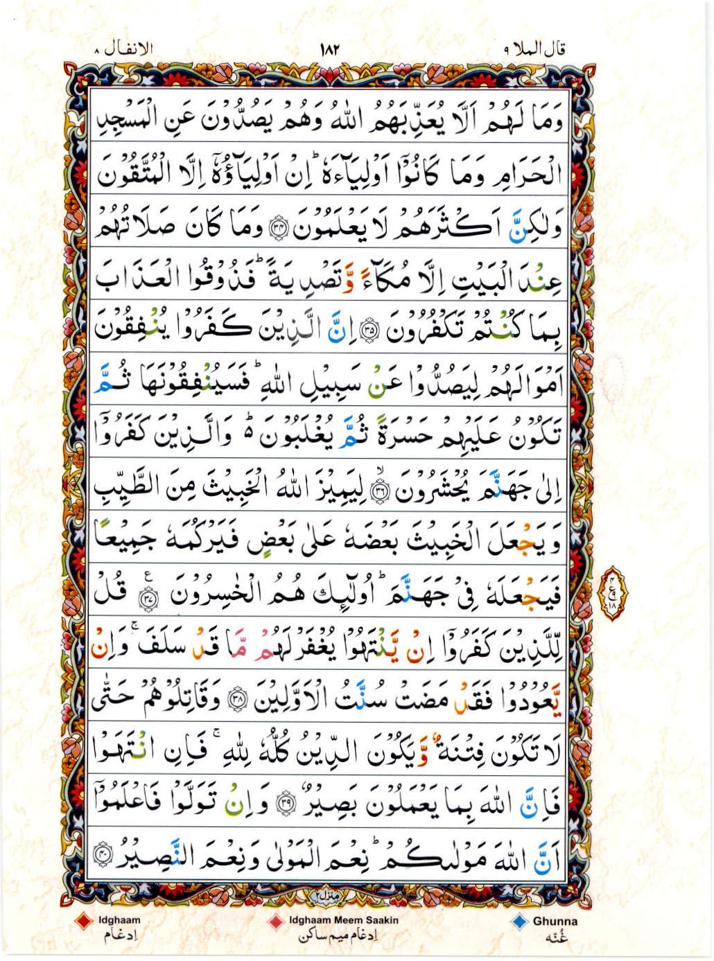 Read 15 Lines Color Coded Quran, Part / Chapter / Siparah 9 Page 182